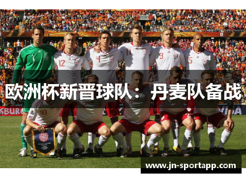 欧洲杯新晋球队：丹麦队备战
